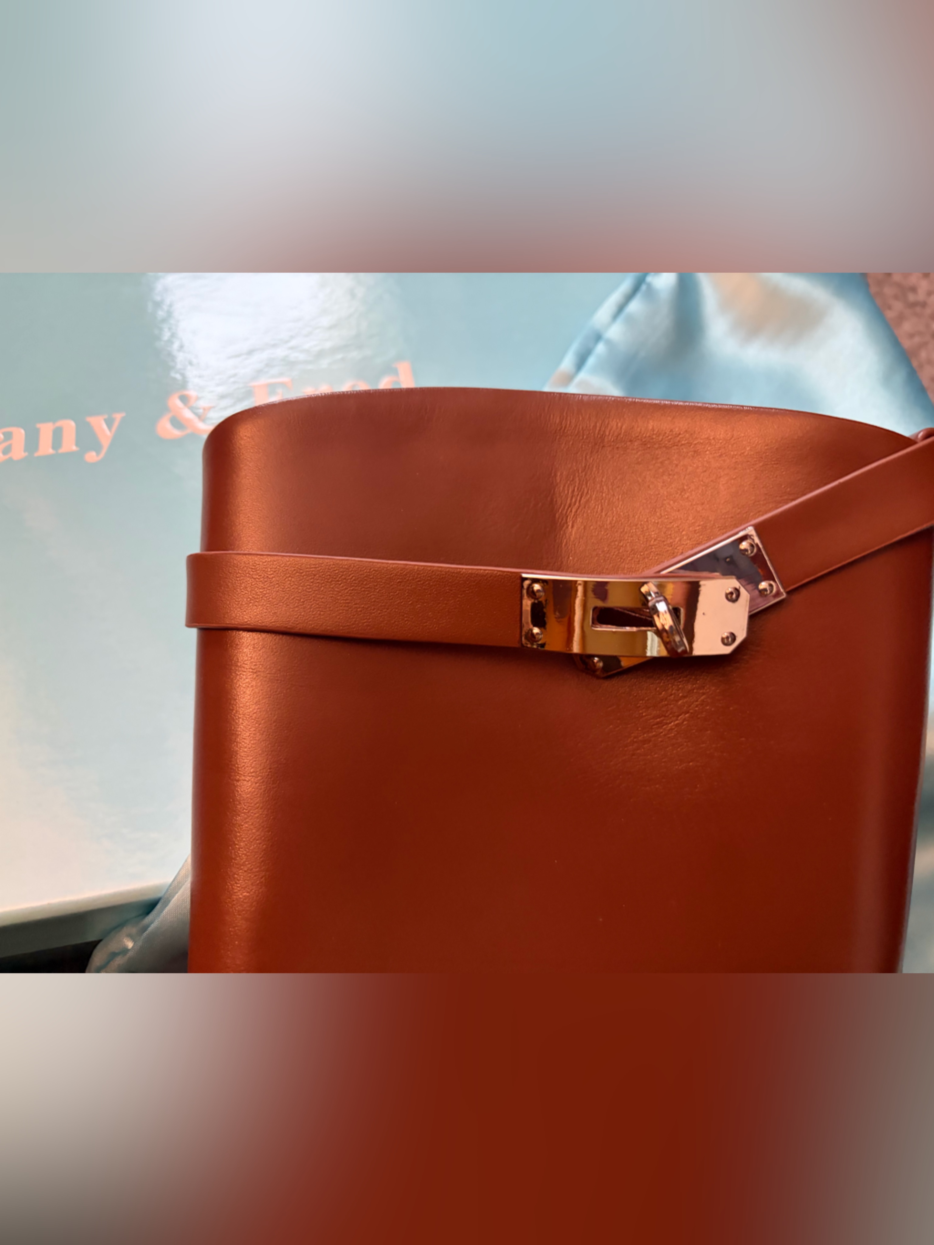 Tiffany & Fred Tall Leather Riding Boots In Chestnut — image 5 of 8